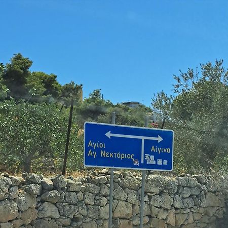 Ξενώνας Vasiliki Vathi  Bagian luar foto
